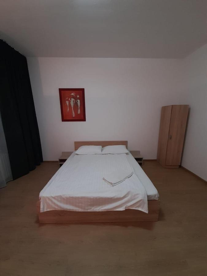 Piata Unirii- 1 Room Studio Apartment تيميشورا المظهر الخارجي الصورة