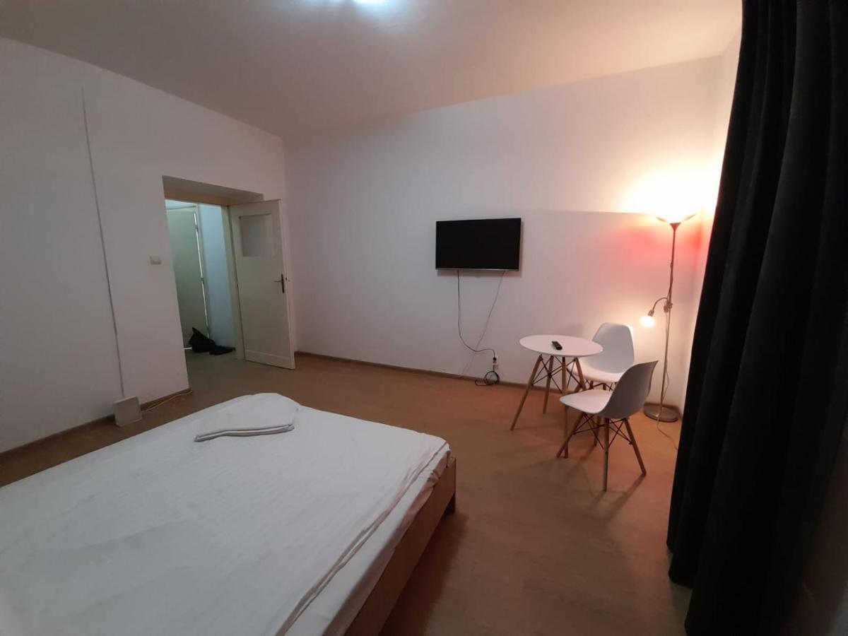Piata Unirii- 1 Room Studio Apartment تيميشورا المظهر الخارجي الصورة
